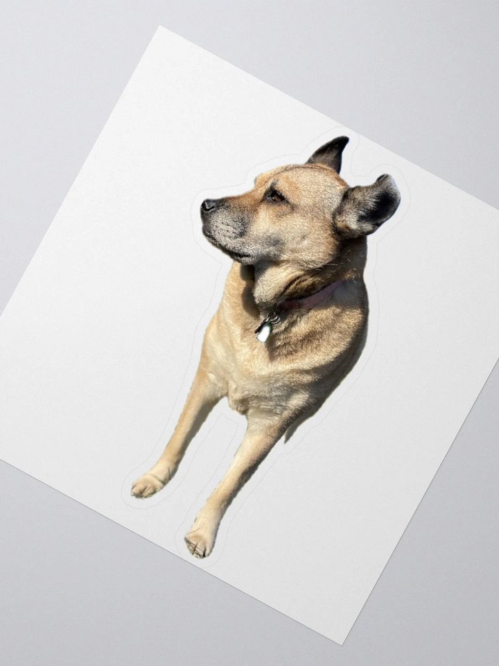 Brinlee sticker product image (2)