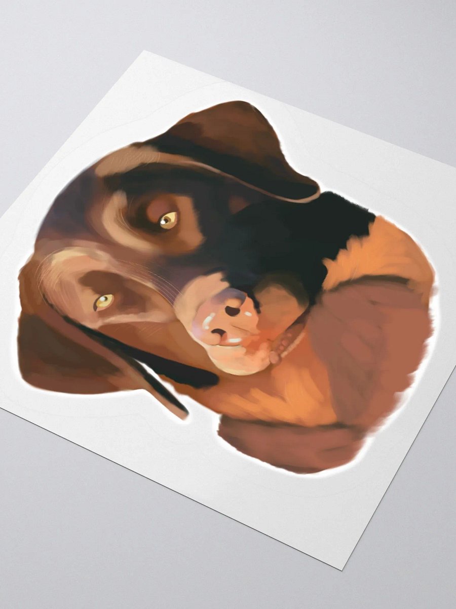 Chesapeake Bay Retriever product image (8)
