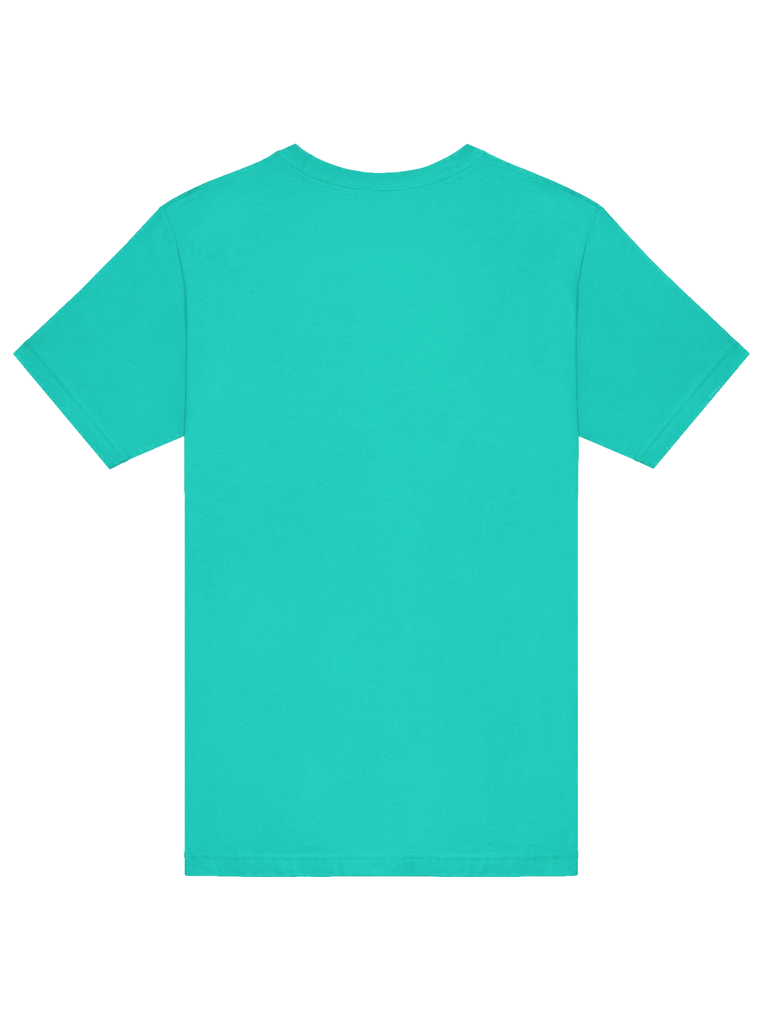 MBTC Northern Lights Logo Unisex T product image (60)