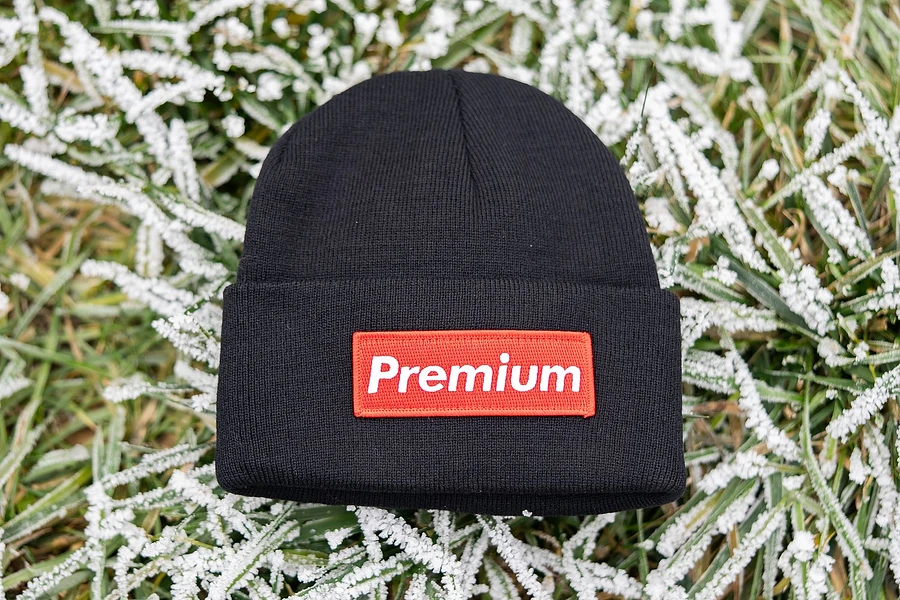 LIMITED EDITION PREMIUM BEANIE product image (4)