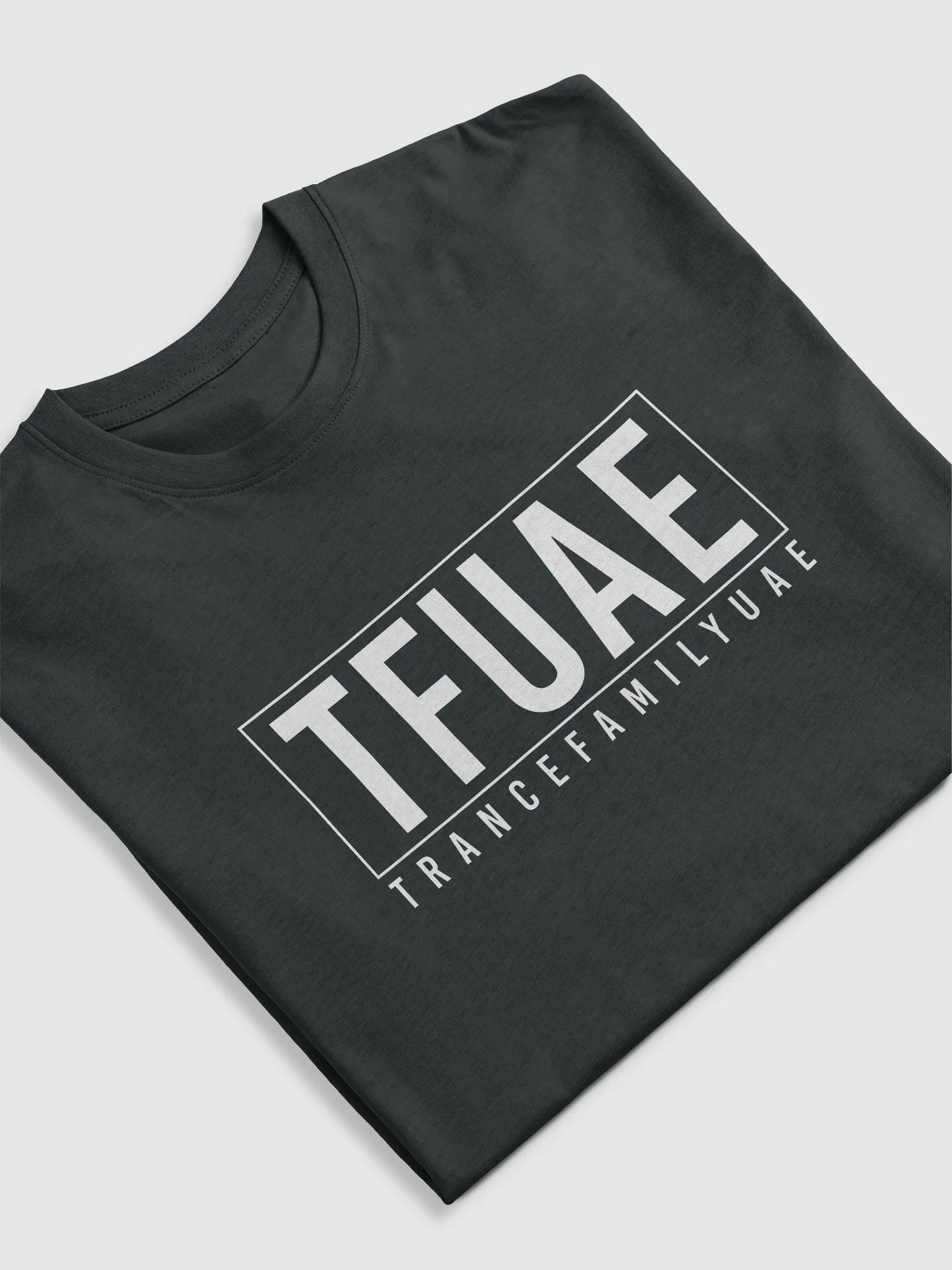 Elevate Collection: Premium Heavyweight Tee product image (5)