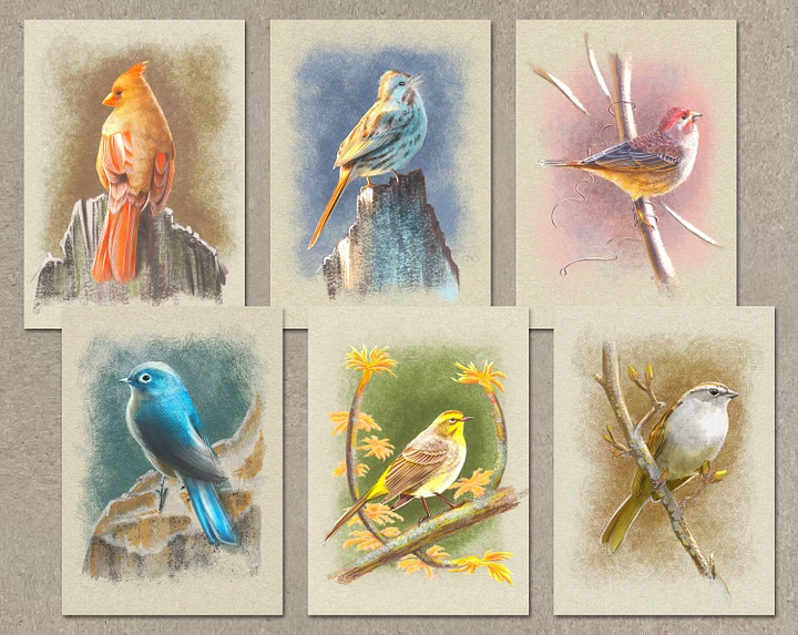 Song Birds Greeting Cards, 5x7