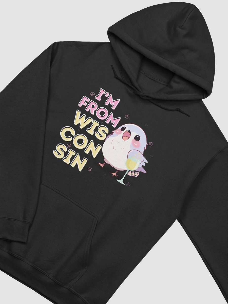 I'm From Wisconsin Dark-Colored Hoodie product image (35)