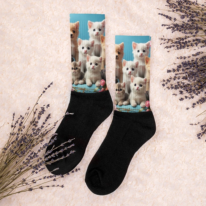 Whiskers to Toes Socks product image (1)