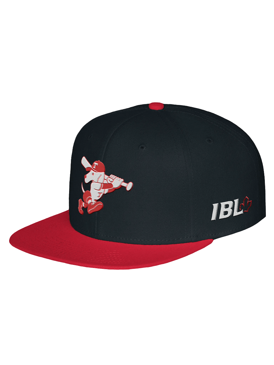 Galt Terriers Legacy Cap product image (2)