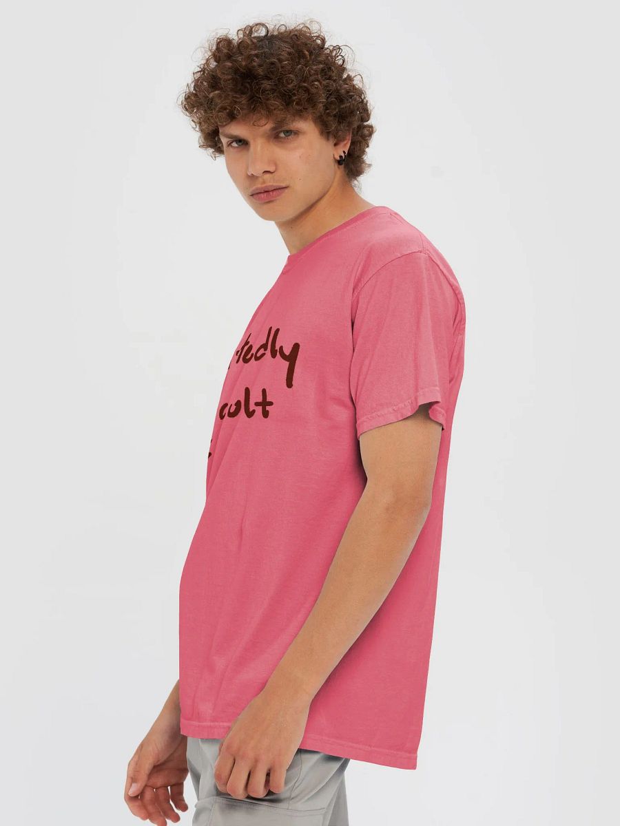 admittedly difficult (#440E00) garment-dyed tee product image (6)