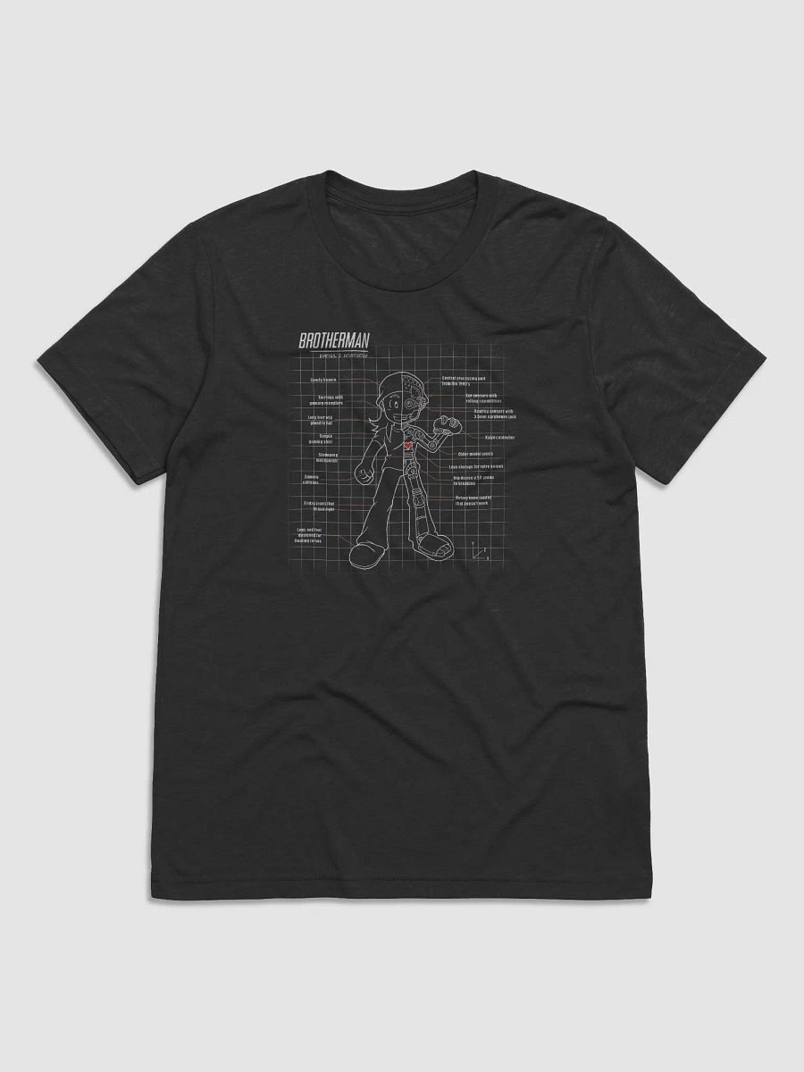 Anatomy of a Brotherman (Triblend T-Shirt) product image (49)