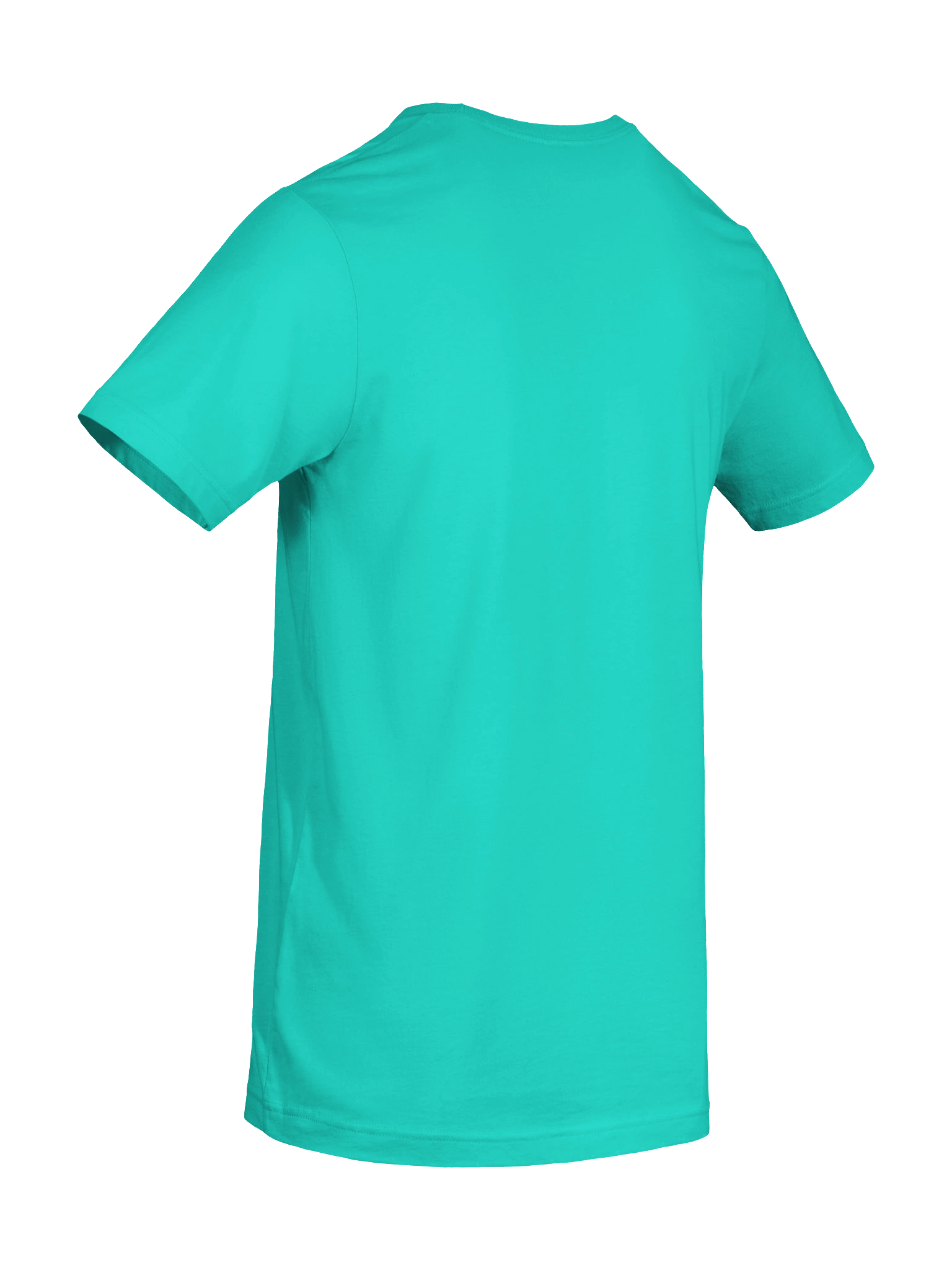 Burning Sage T-Shirt product image (94)