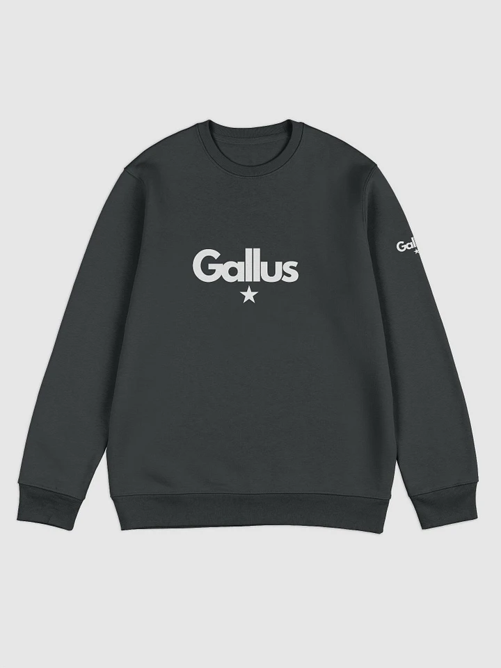 Gallus Classic Sweatshirt Unisex product image (1)