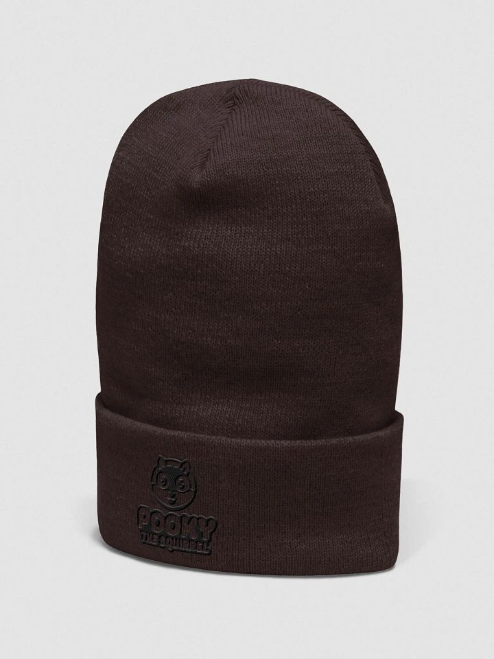Official Pooky the Squirrel Logo Supersoft Beanie product image (2)