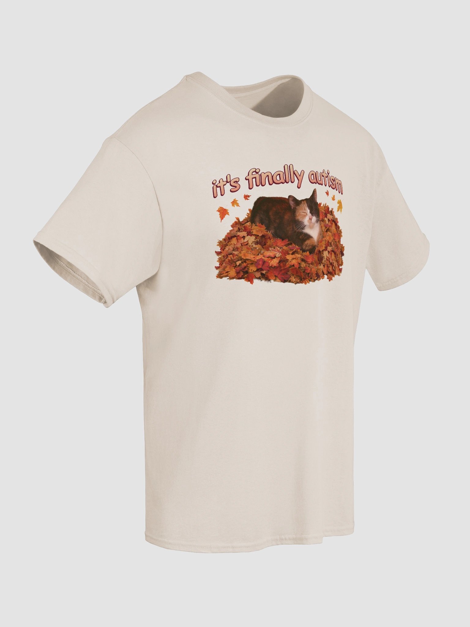 It's Finally Autism Autumn Cat T-shirt product image (8)