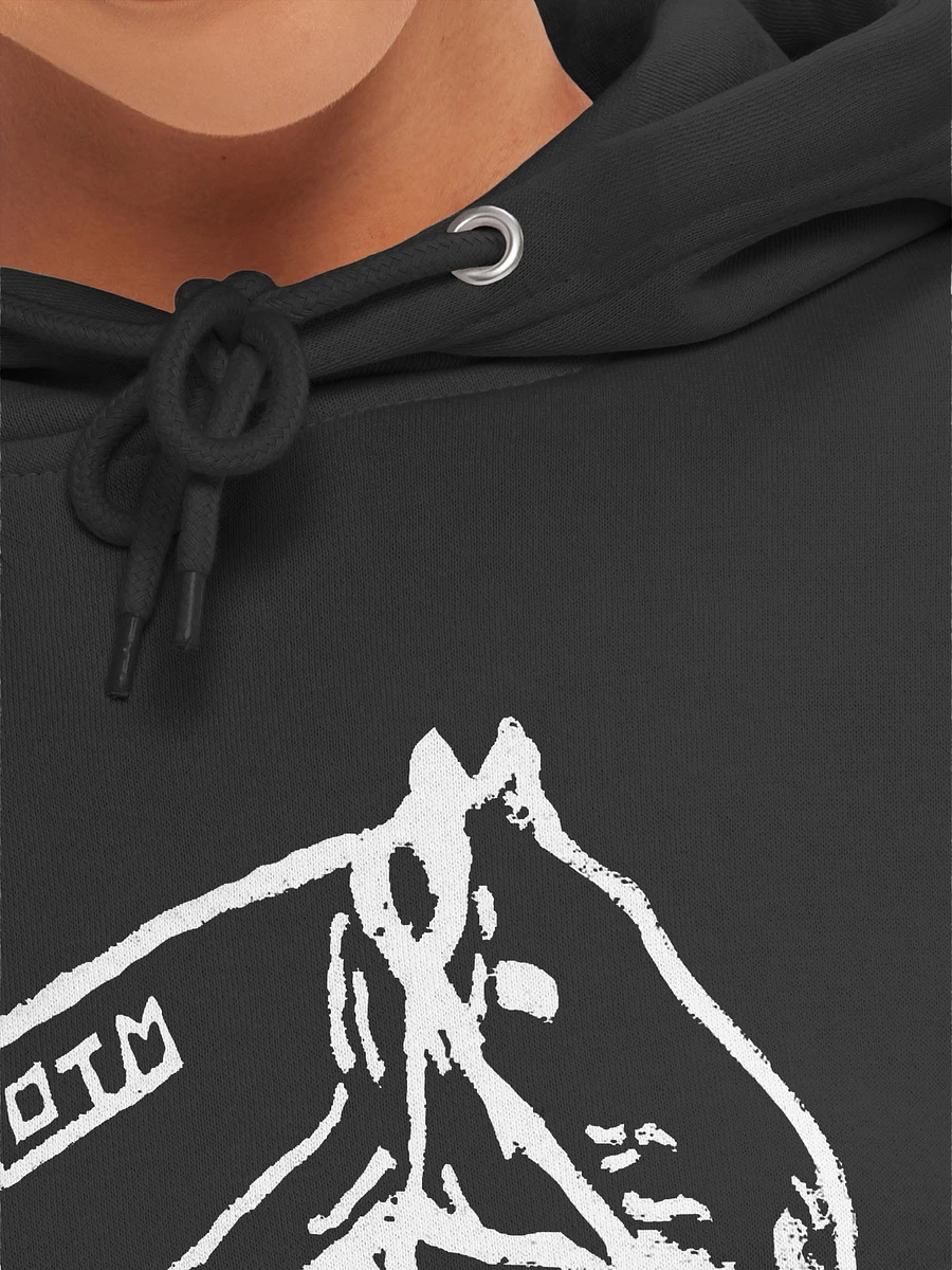 Year of the Mustang Hoodie (White Logo) product image (7)