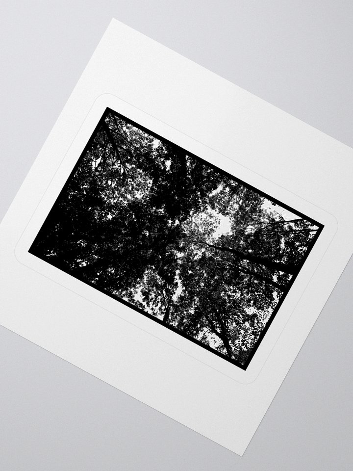 WINTER'S EVE - 'Arboretum of Solitude' Sticker product image (5)