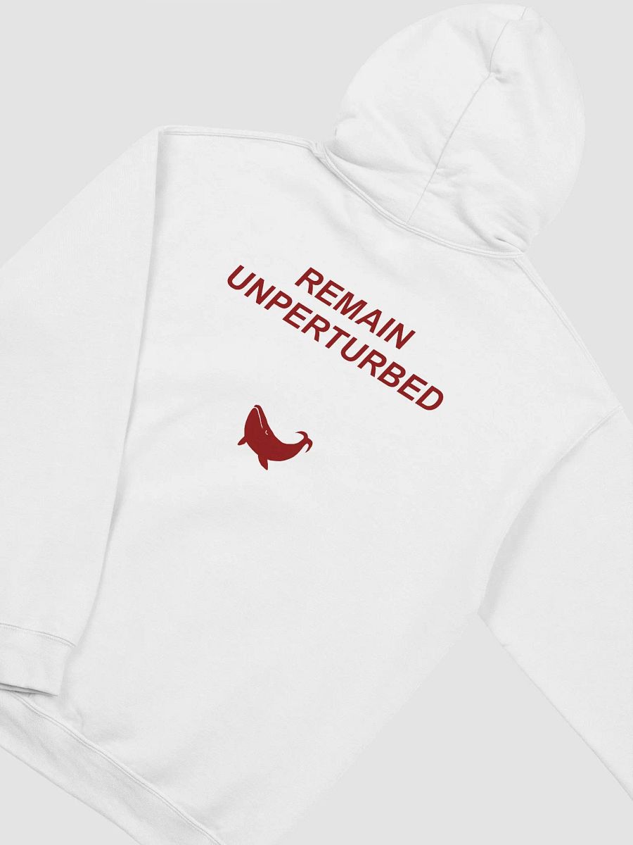 UNPERTURBED HOODIE product image (4)