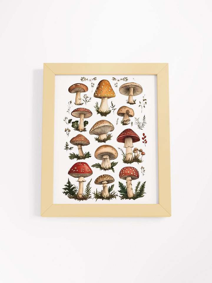 Mushroom Medley Framed Matte Poster product image (2)