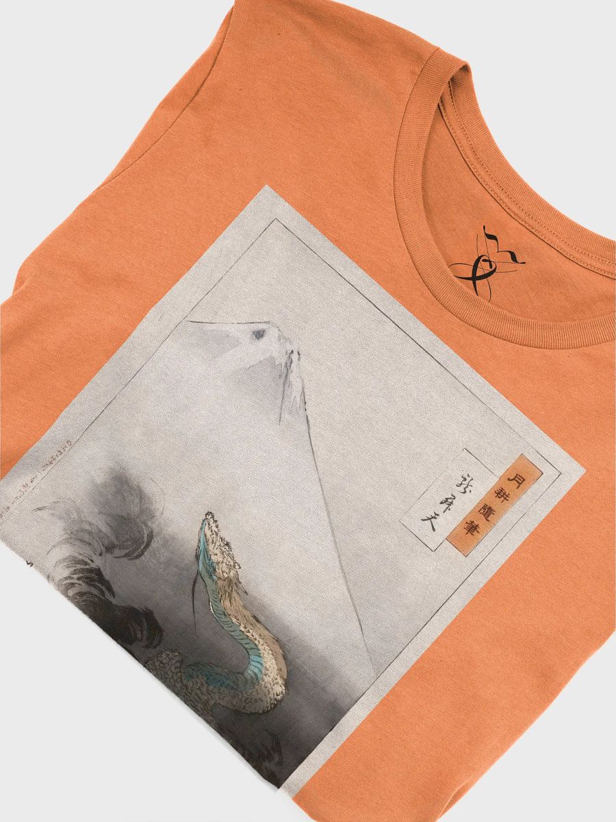 Ryu Shoten Print Bella+Canvas Unisex Supersoft T-Shirt product image (46)