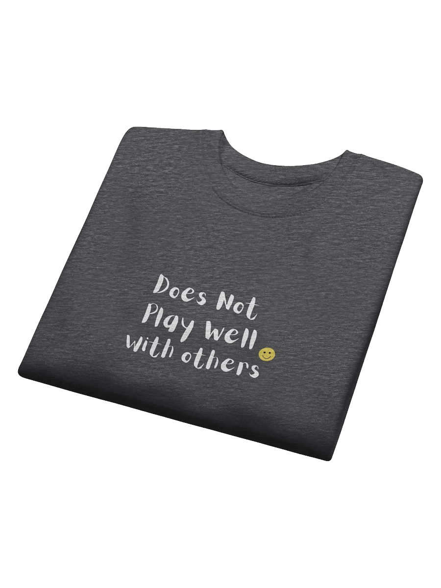 Does Not Play Well with Others Unisex Sweatshirt product image (16)
