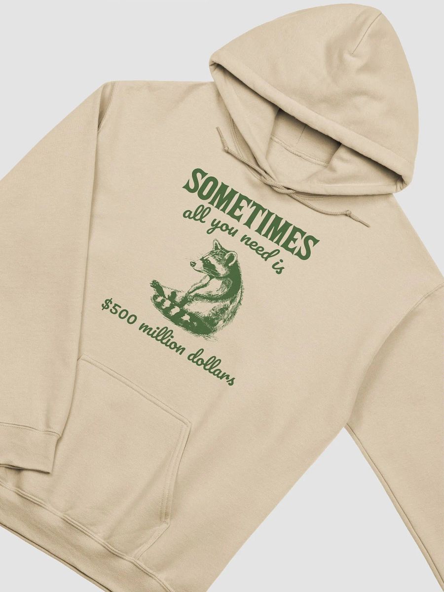 Sometimes all you need is 500 million dollars Hoodie product image (2)