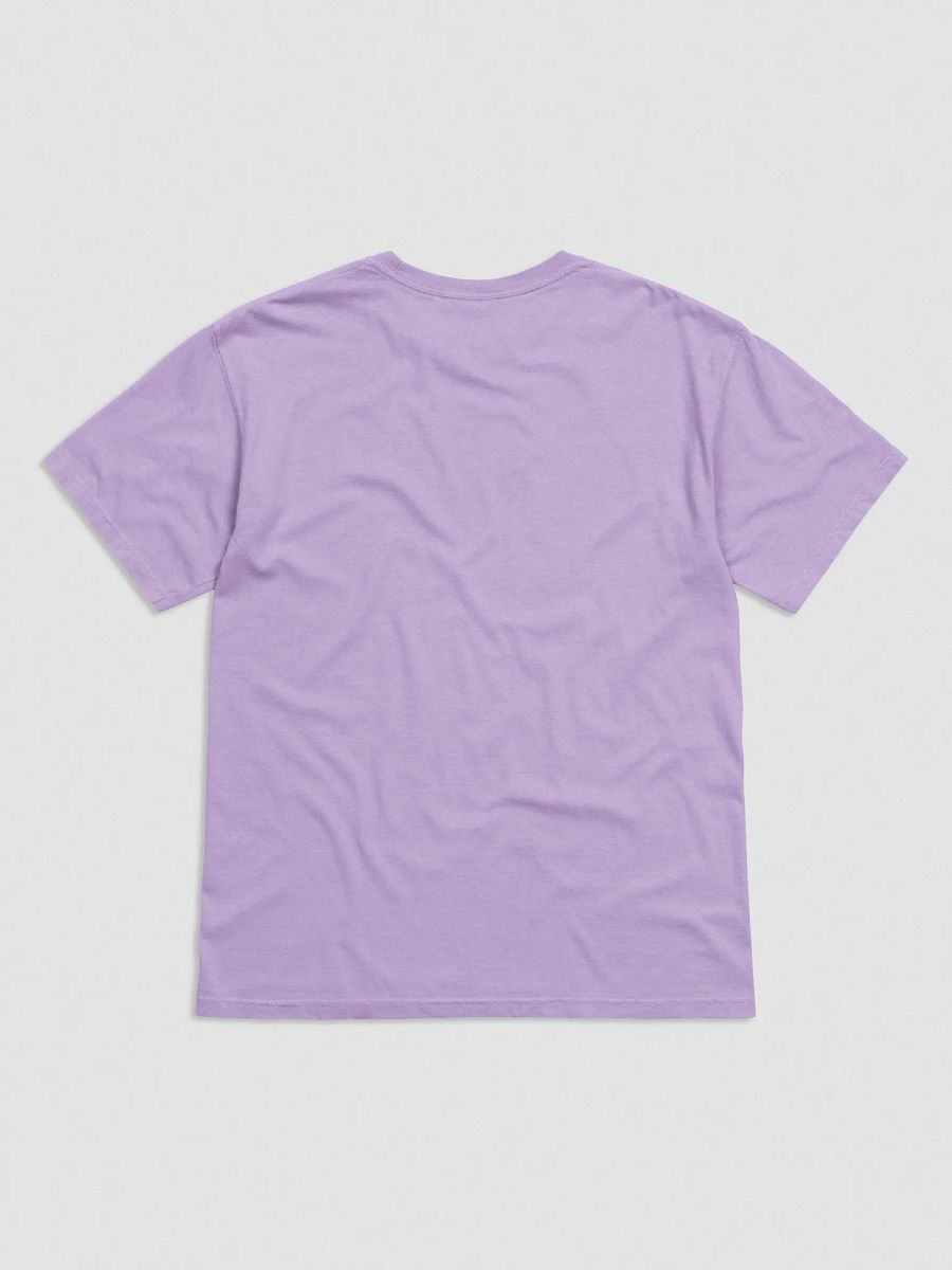 I Have Standards T-Shirt(Embroidered) of a Standard Schnauzer(Black) product image (34)