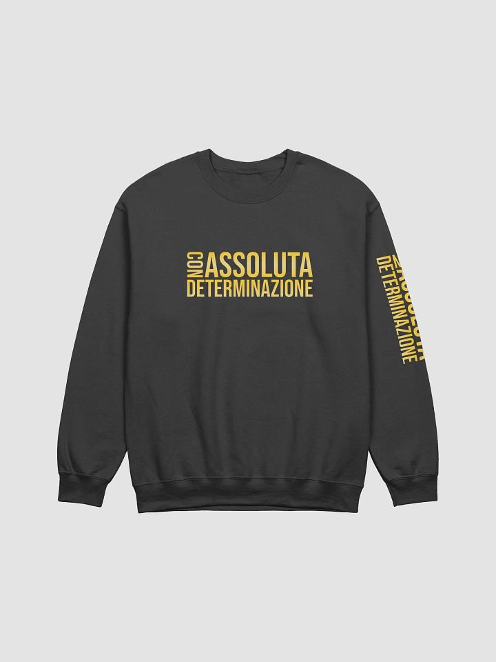 Felpa Con assoluta determinazione product image (1)