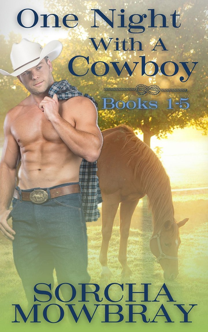 One Night With A Cowboy product image (2)