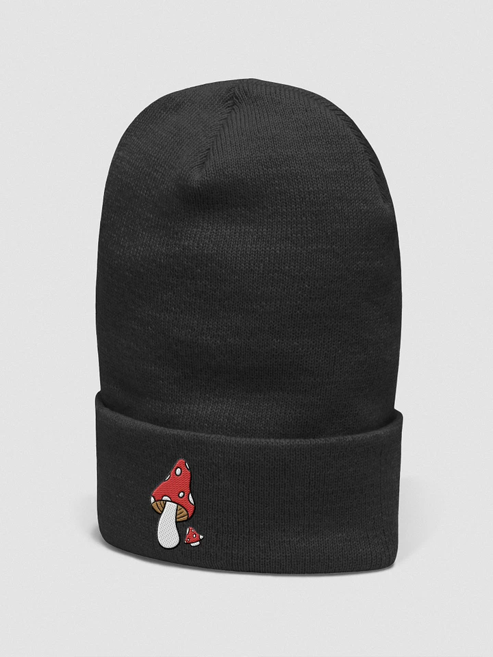 Mushroom Pair Beanie | Embroidered Cuffed Beanie product image (18)