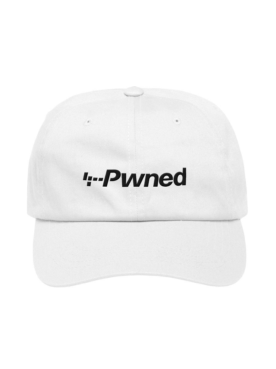 Pwn Patrol product image (2)