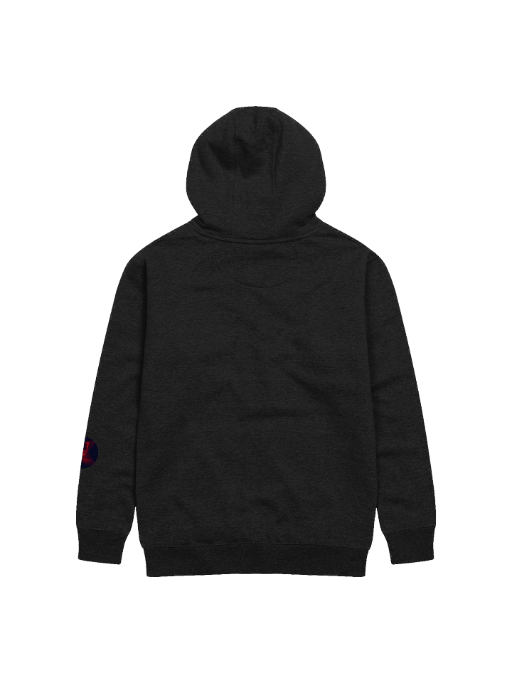 Locked In - Hoodie product image (2)