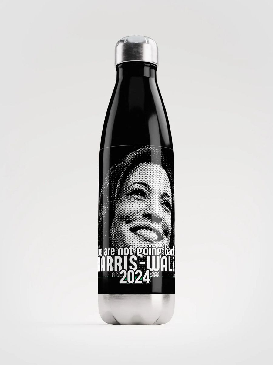 HARRIS-WALZ 2024 WE ARE NOT GOING BACK product image (1)