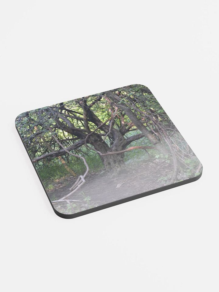 Branch Tree Cork Coaster product image (2)