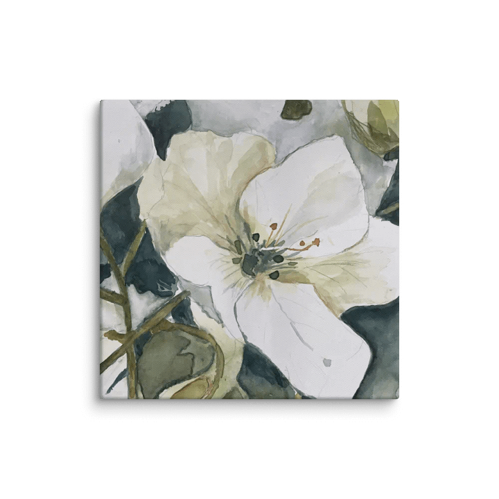 Christmas Roses (Print Only - Original Sold) product image (1)