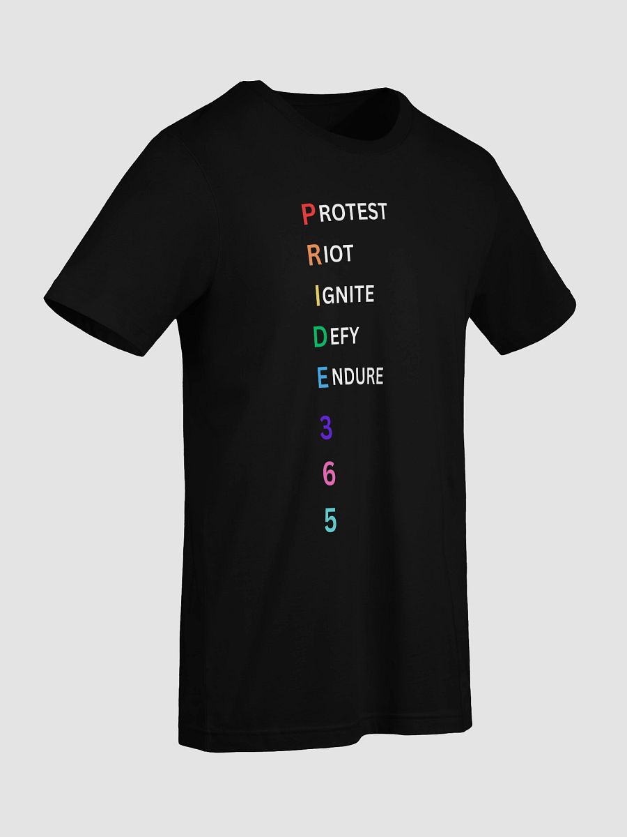 Pride 365 (protest, riot, ignite, endure) Tee product image (51)