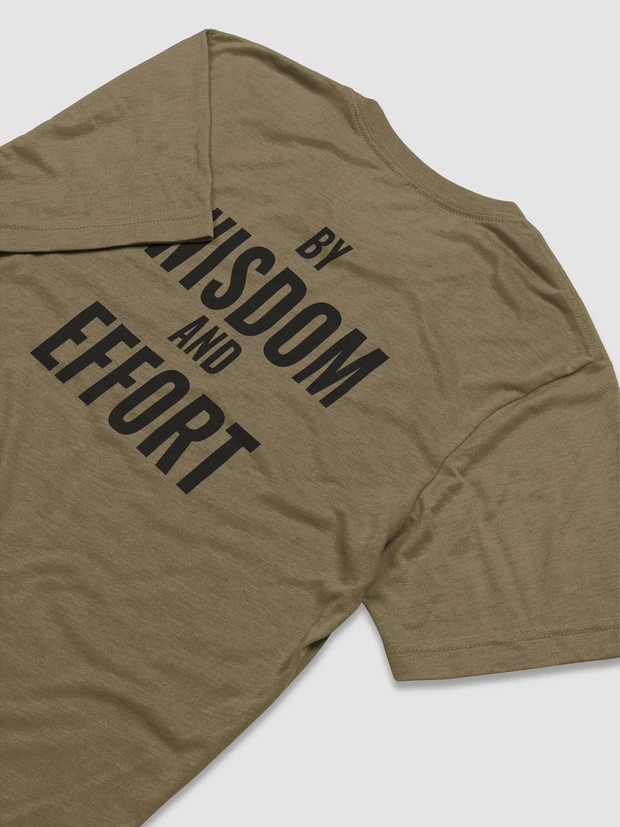 Tri-Blend T-Shirt product image (27)