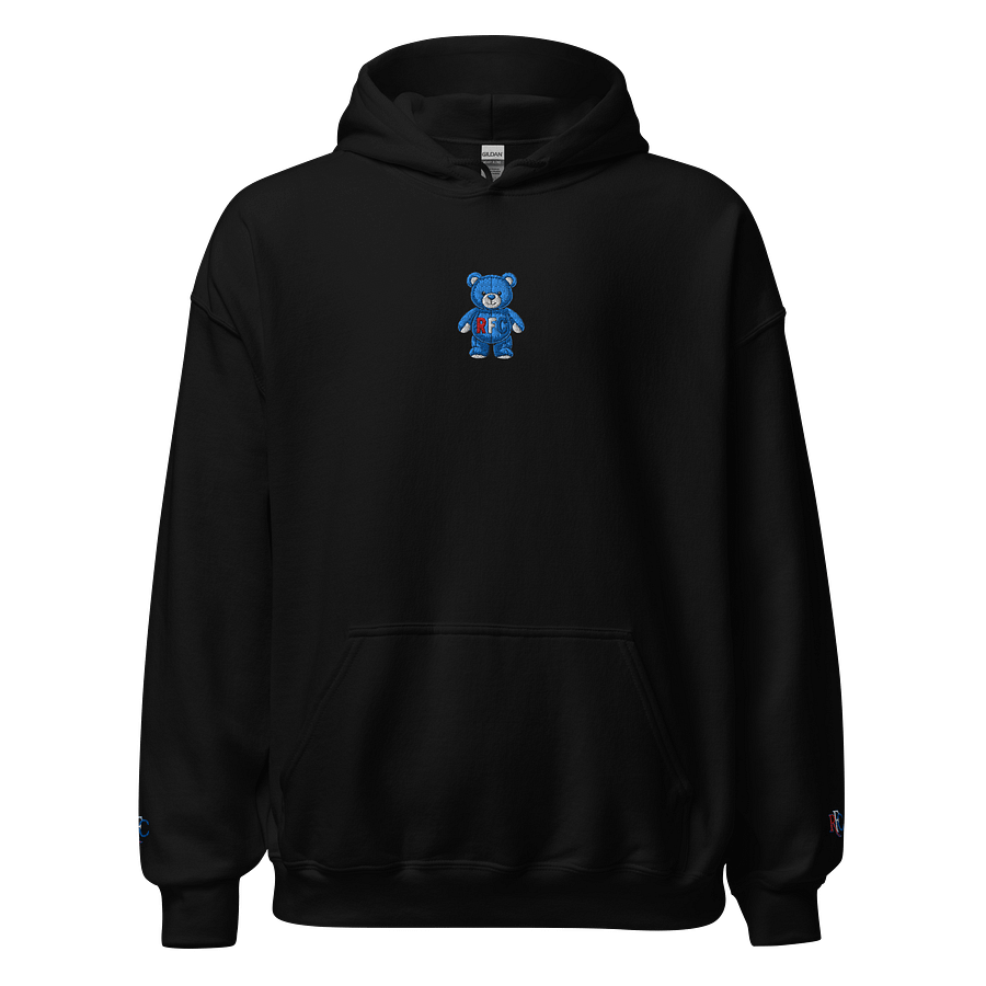 UBC "Teddy Bear" Hoodie product image (1)