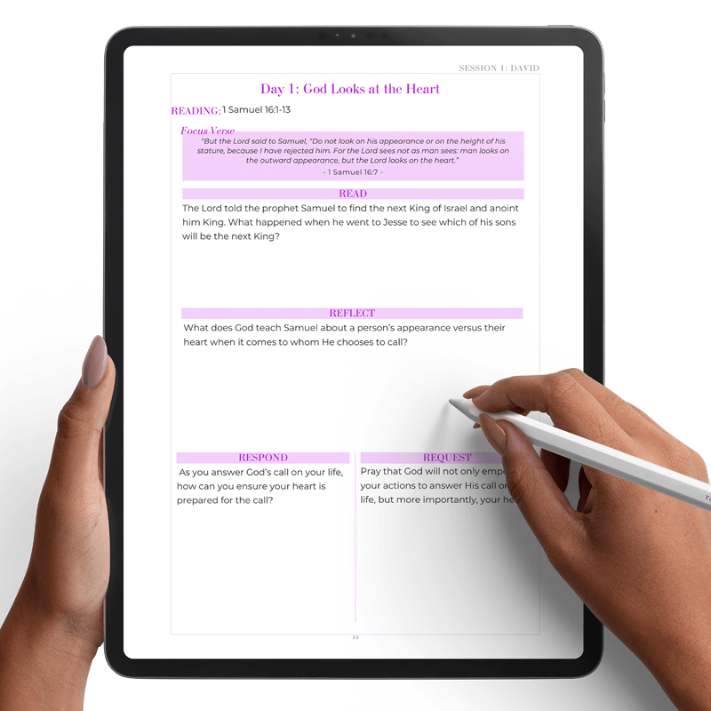 Crazy or Called Digital Study Guide product image (4)