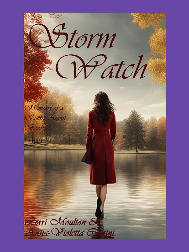 Storm Watch: Memoirs of a Secret Agent Book 2 EBOOK product image (1)