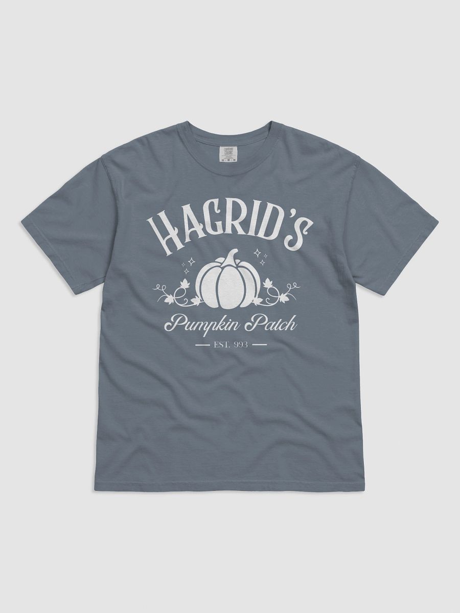 Magical Pumpkin Patch Vintage Minimalist Style Shirt product image (4)