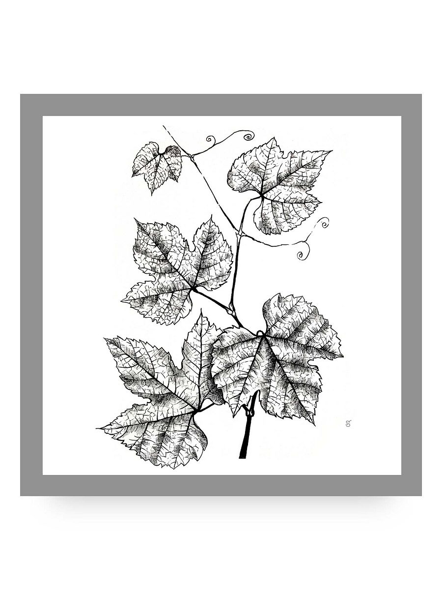 Botanical Bliss Canvas Art - Grape Leaves product image (10)