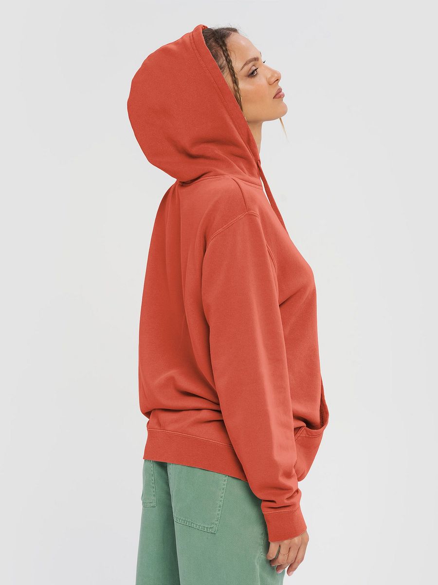 hyperverbal (comic sans, #5D1717) printed pigment dyed hoodie product image (5)