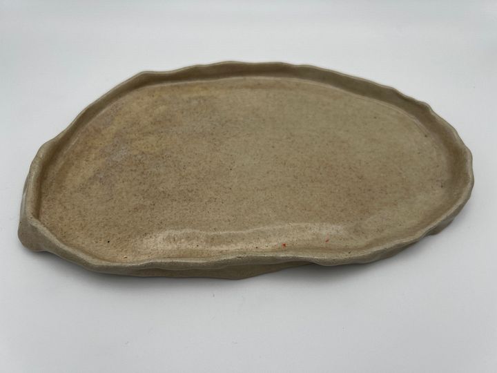 That Dish. product image (1)