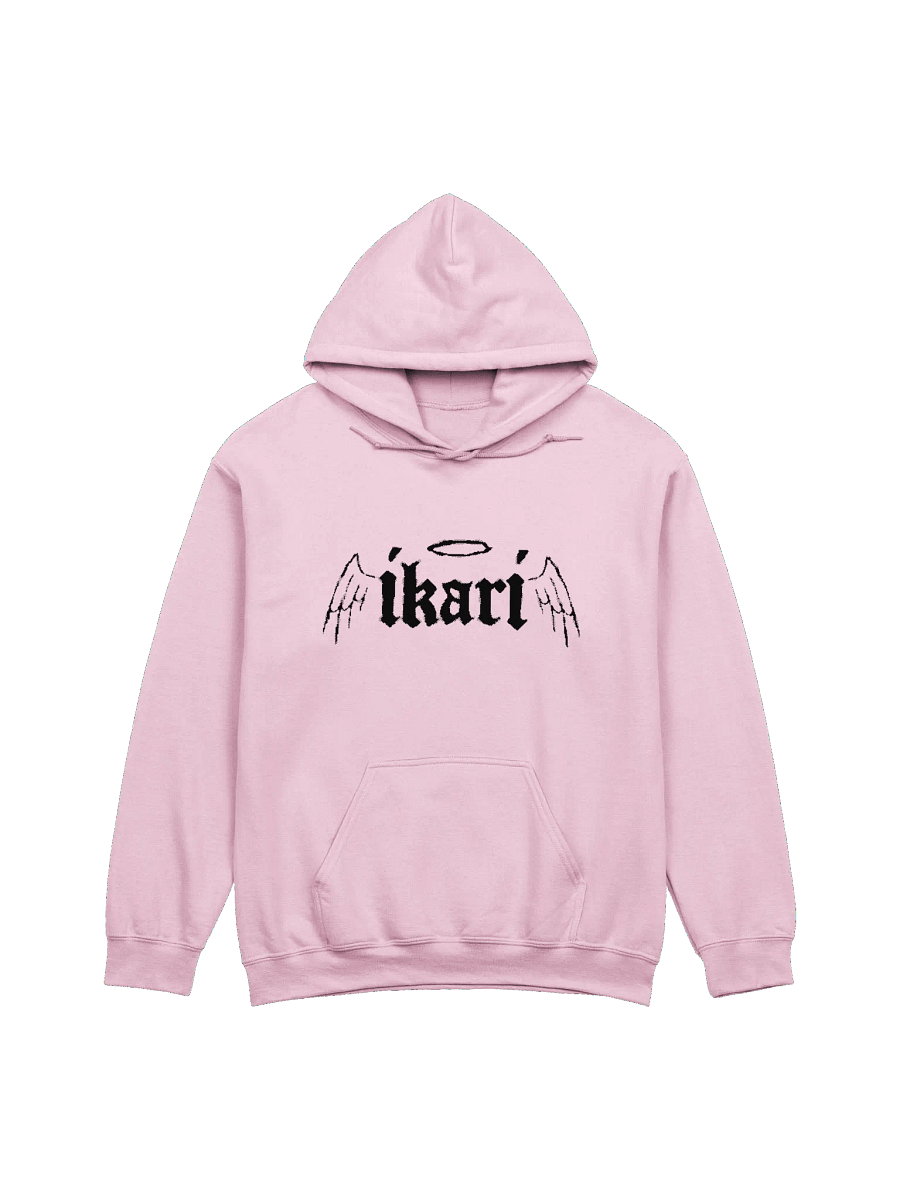 WINGS LOGO HOODIE product image (1)
