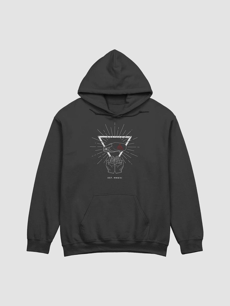 VR Illuminati Hoodie product image (8)