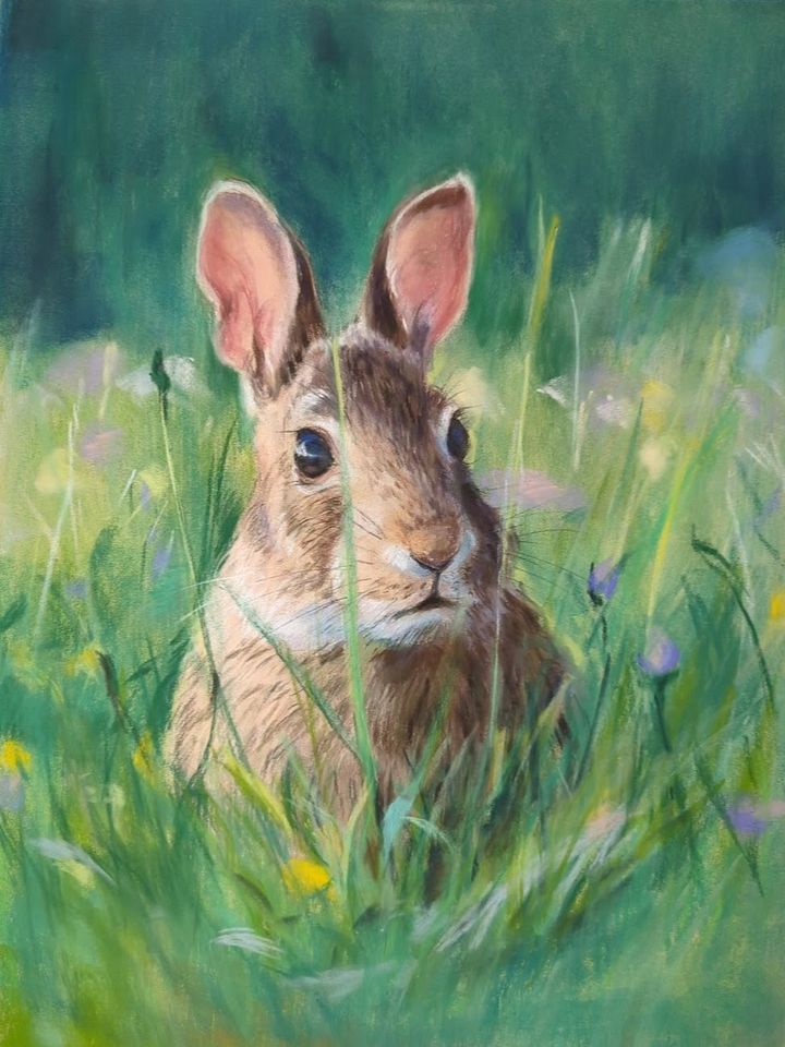 Wild Rabbit product image (1)