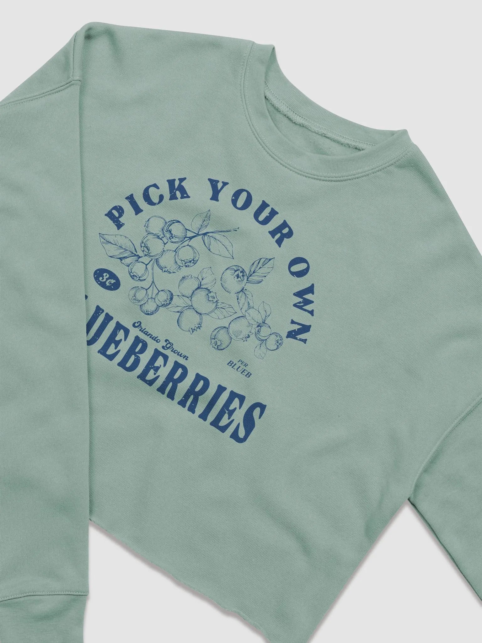 PYOB (Blue) Cropped Hoodie product image (2)