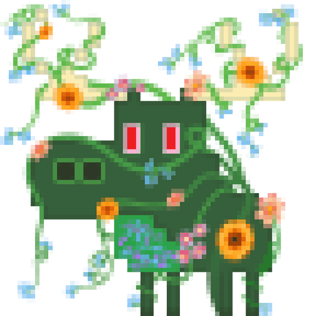 Wildflower Wonder