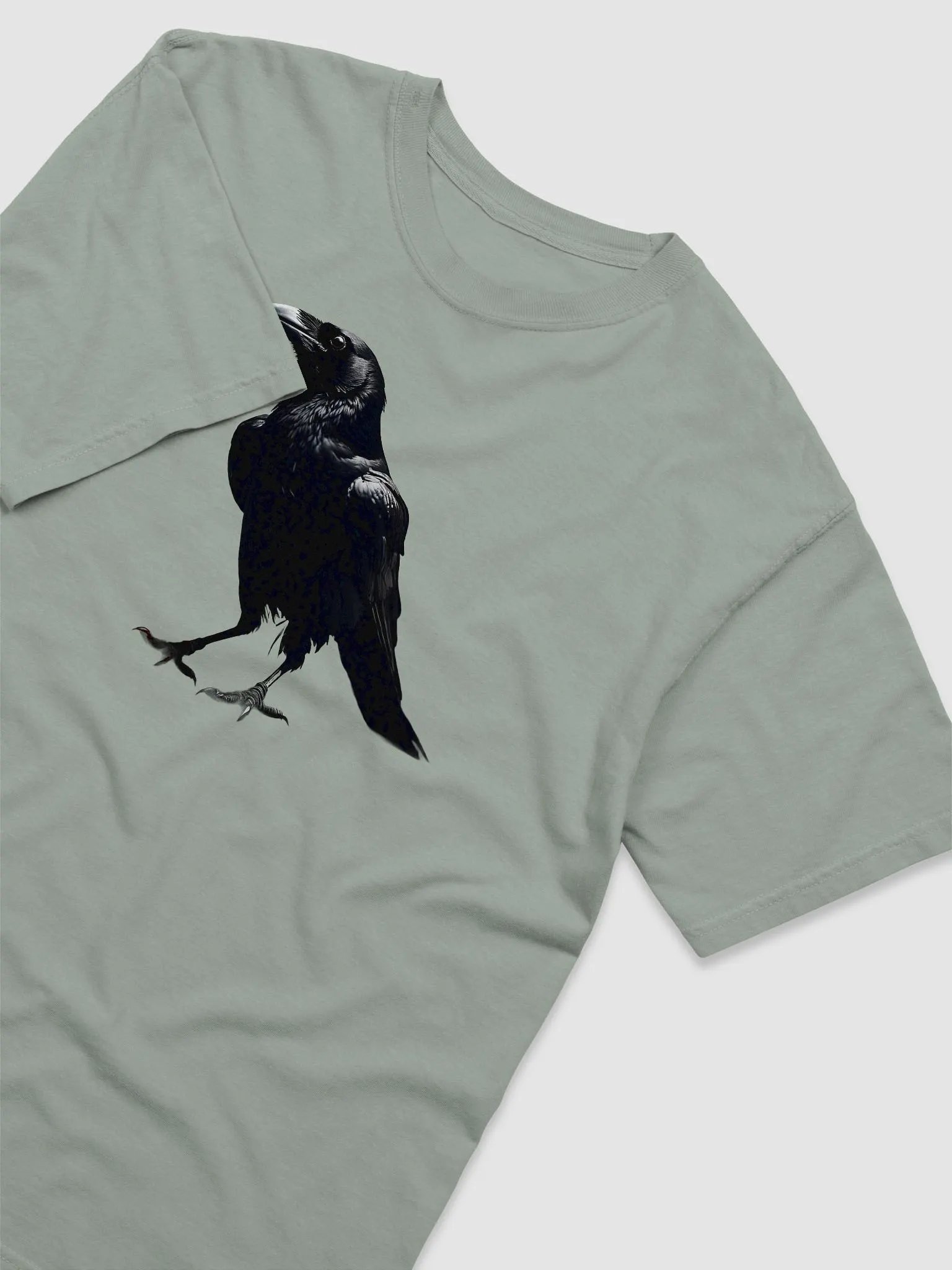 The black and shadowy Crow product image (32)