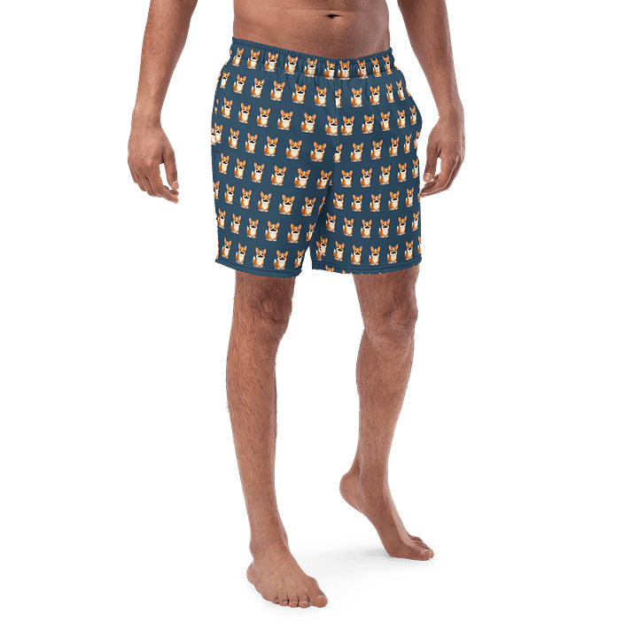 Torgi Swim Trunk Blue product image (1)