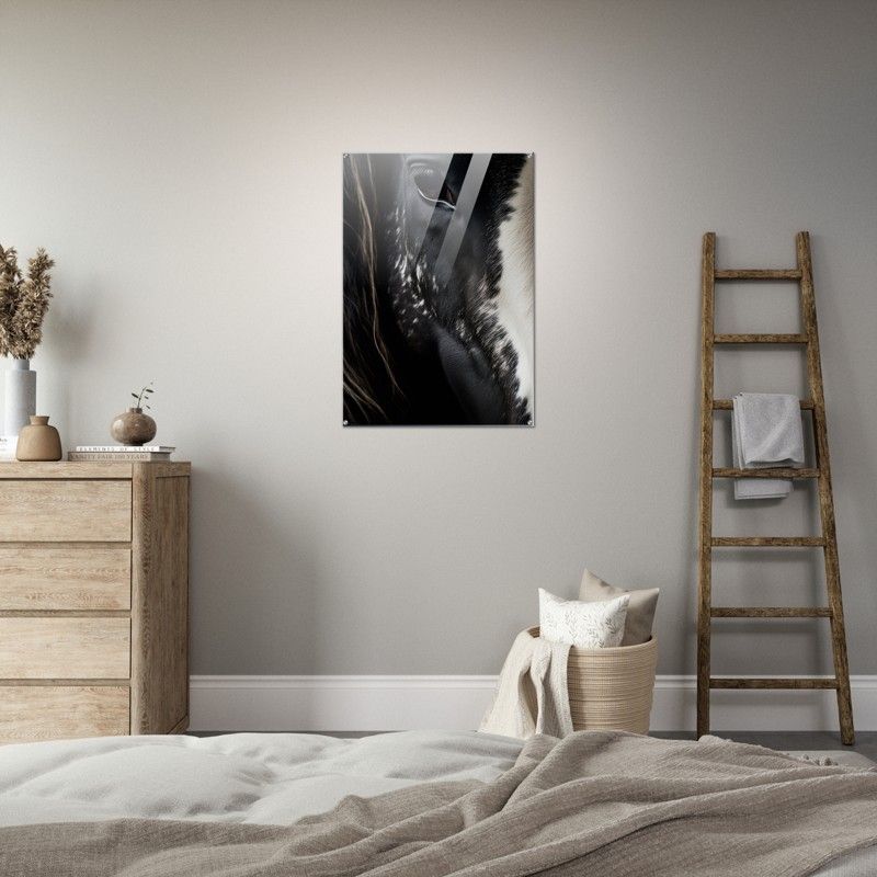 BLACK, WHITE HORSE FACE GLOSSY ACRYLIC PRINT product image (2)