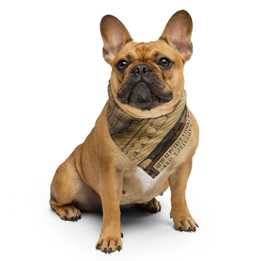 "Ortelius" Bandanna product image (4)