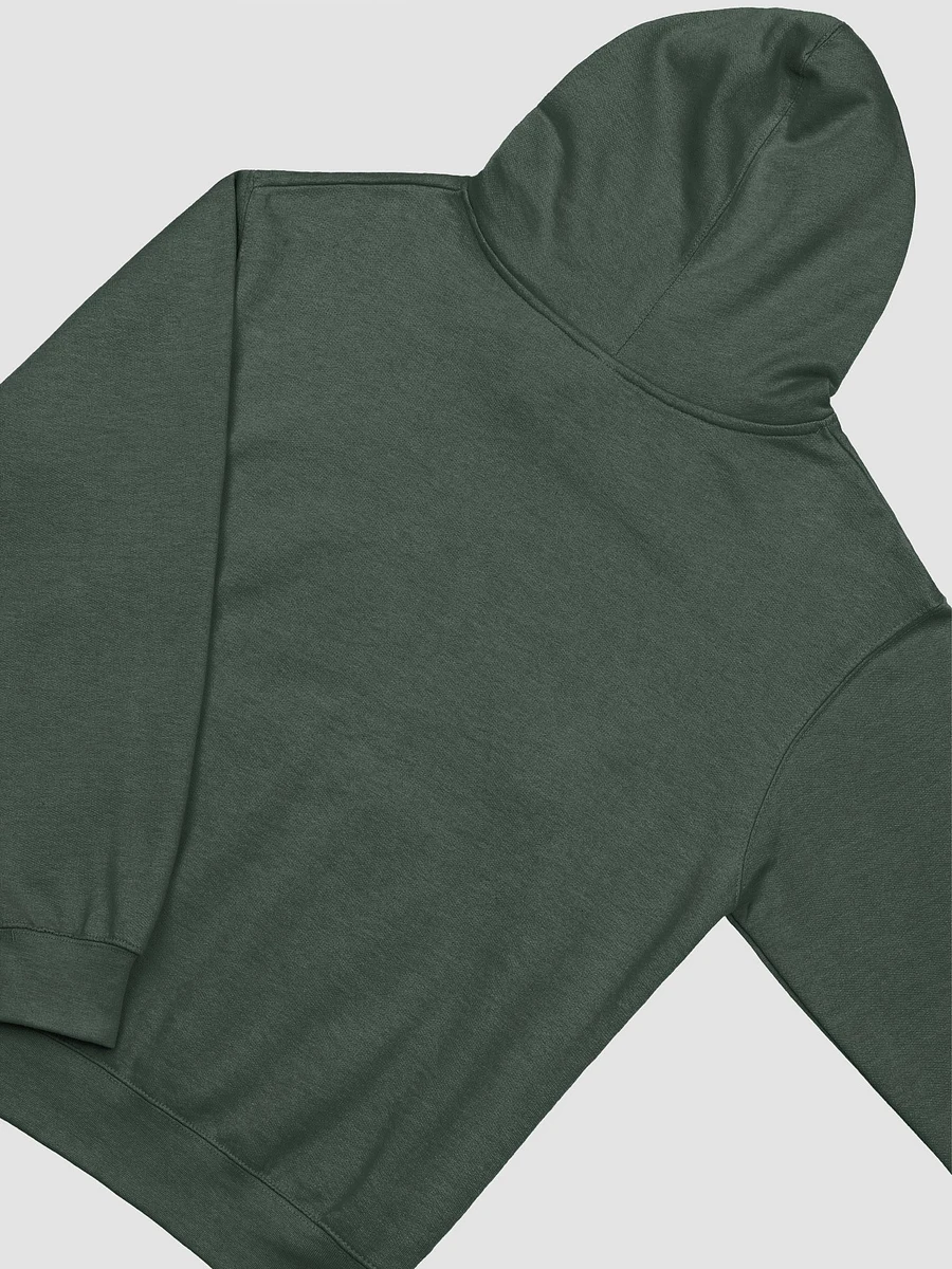 SCSPA Adult Hoodie product image (4)